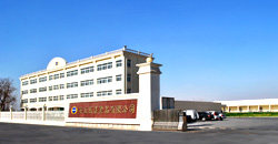 相册图片2