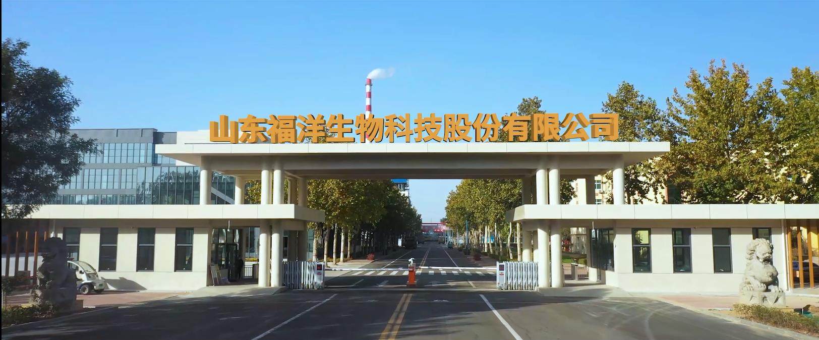 山东福洋生物科技股份有限公司