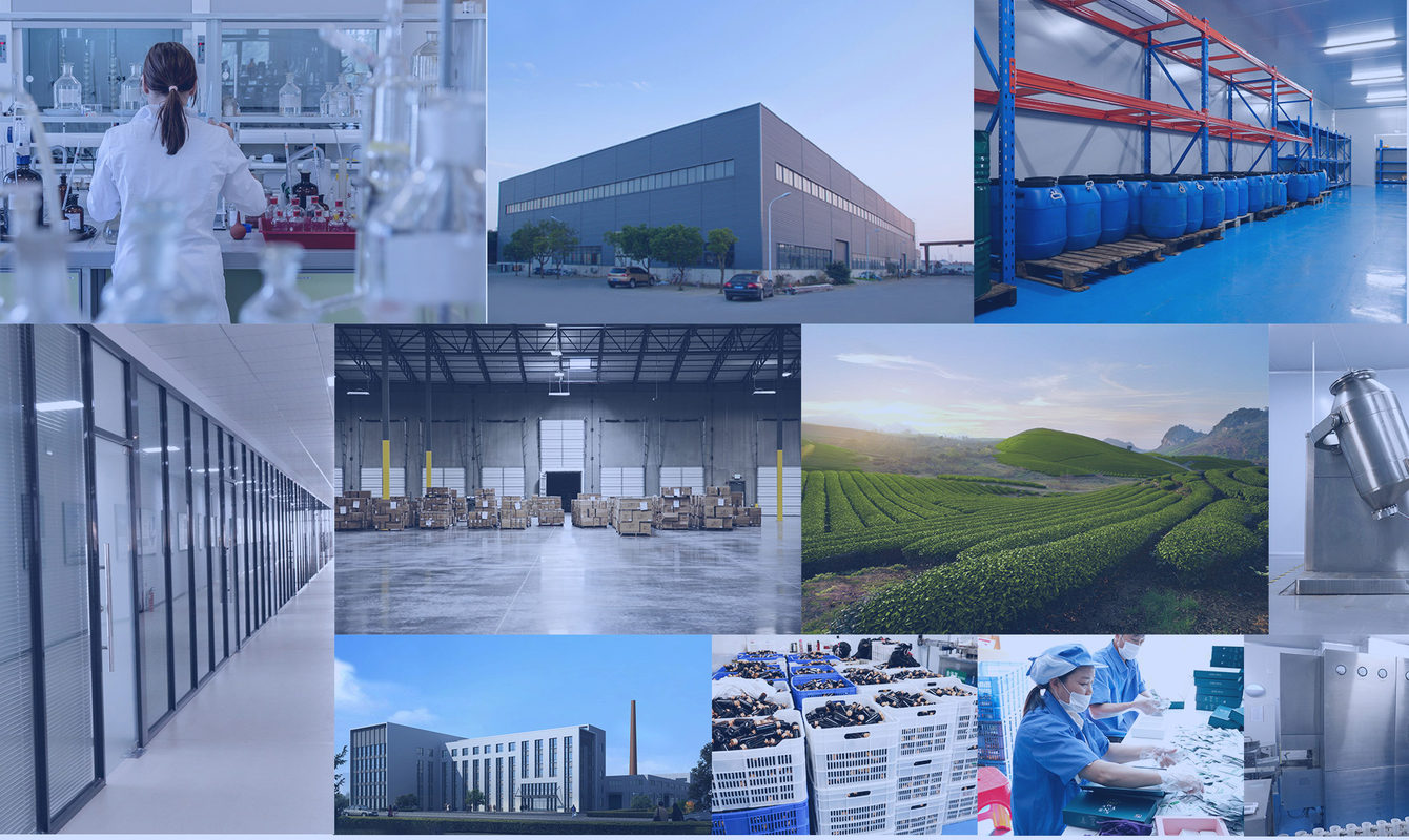 臻源医福建生物医药科技有限公司