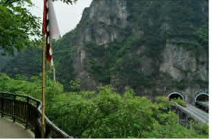 相册图片4
