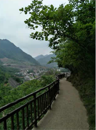 相册图片5