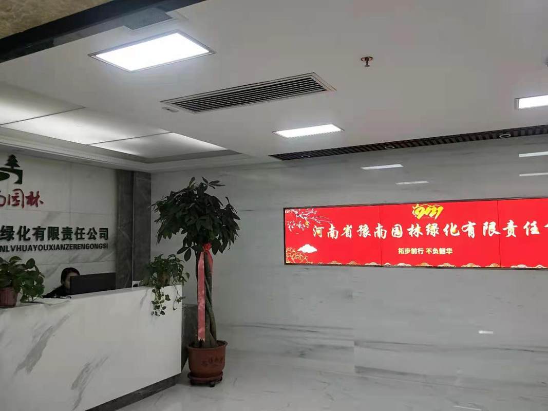 相册图片4