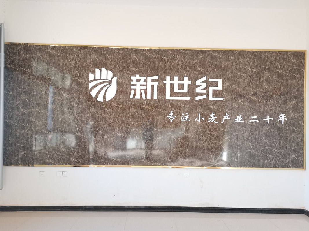 相册图片1