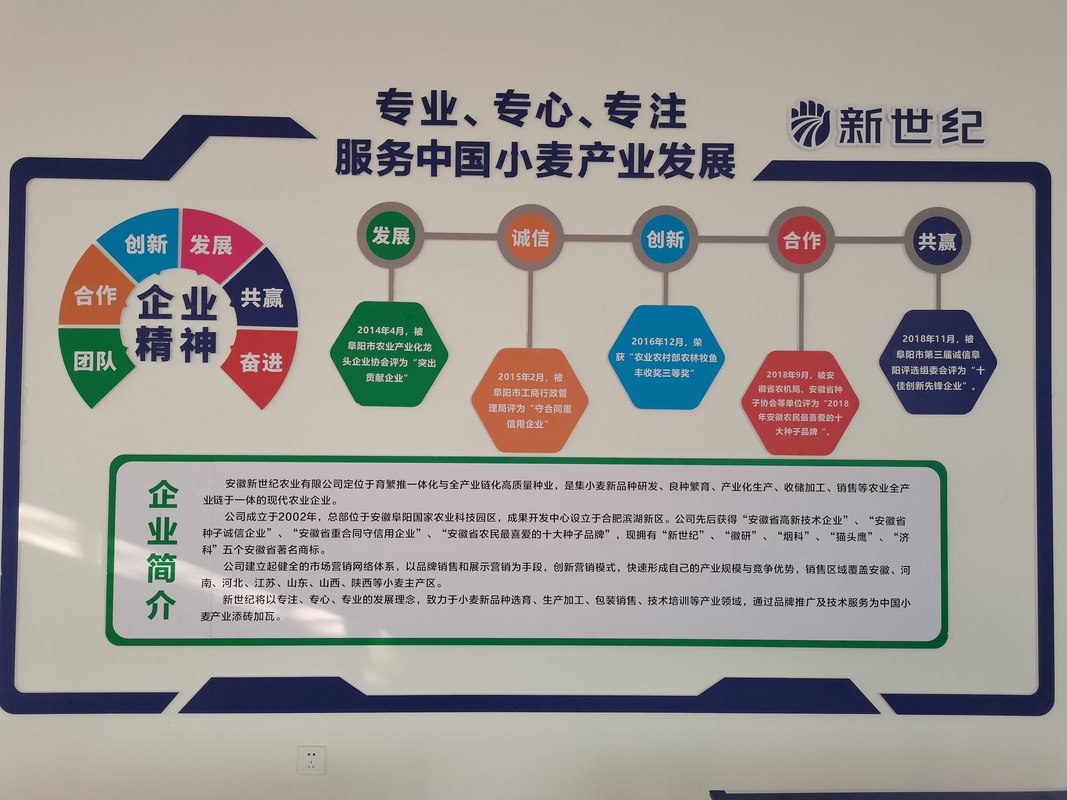 相册图片2