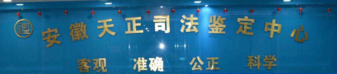 相册图片1
