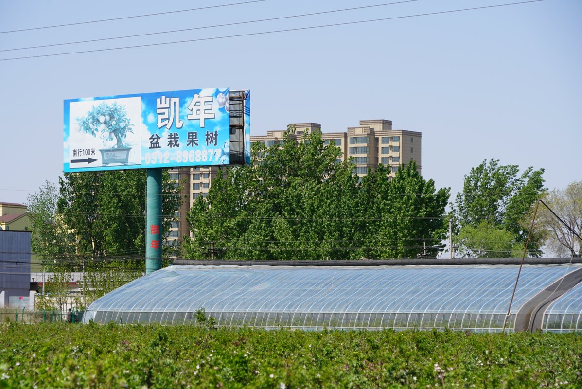 相册图片4