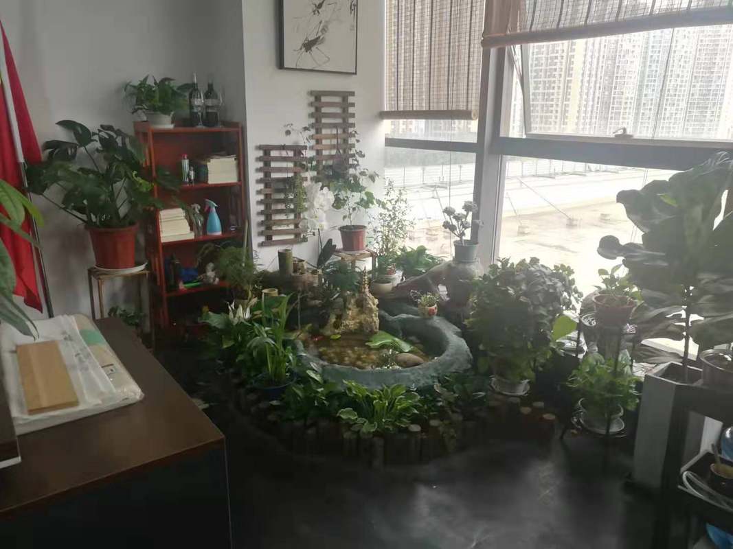 相册图片4