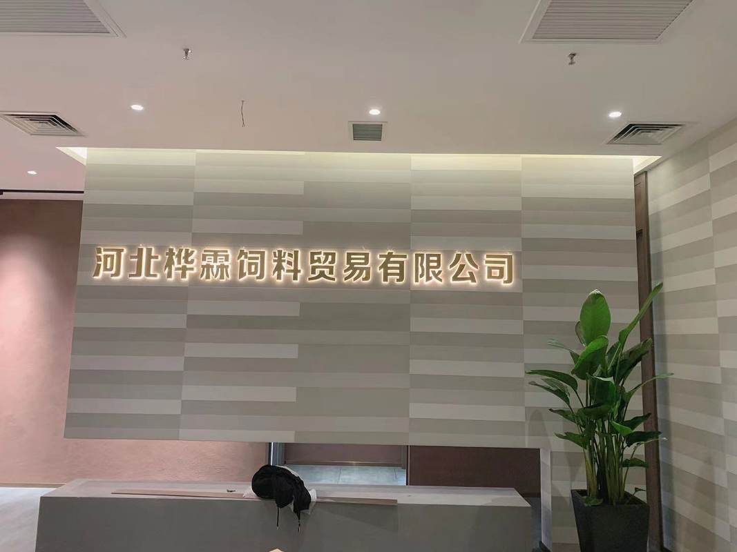 相册图片2