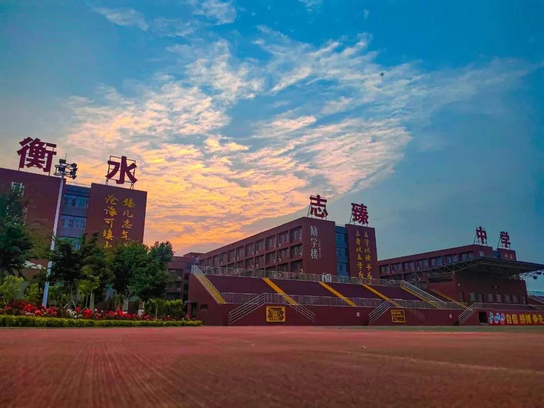 清河县志臻实验中学