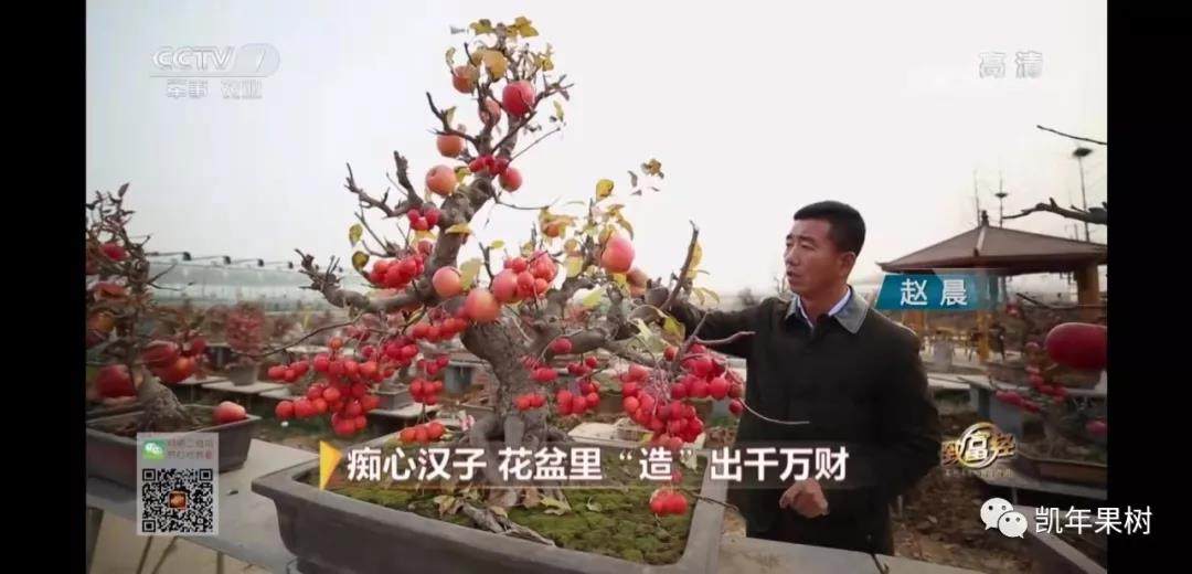 相册图片5