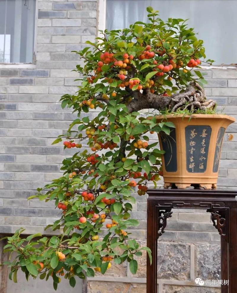 相册图片7