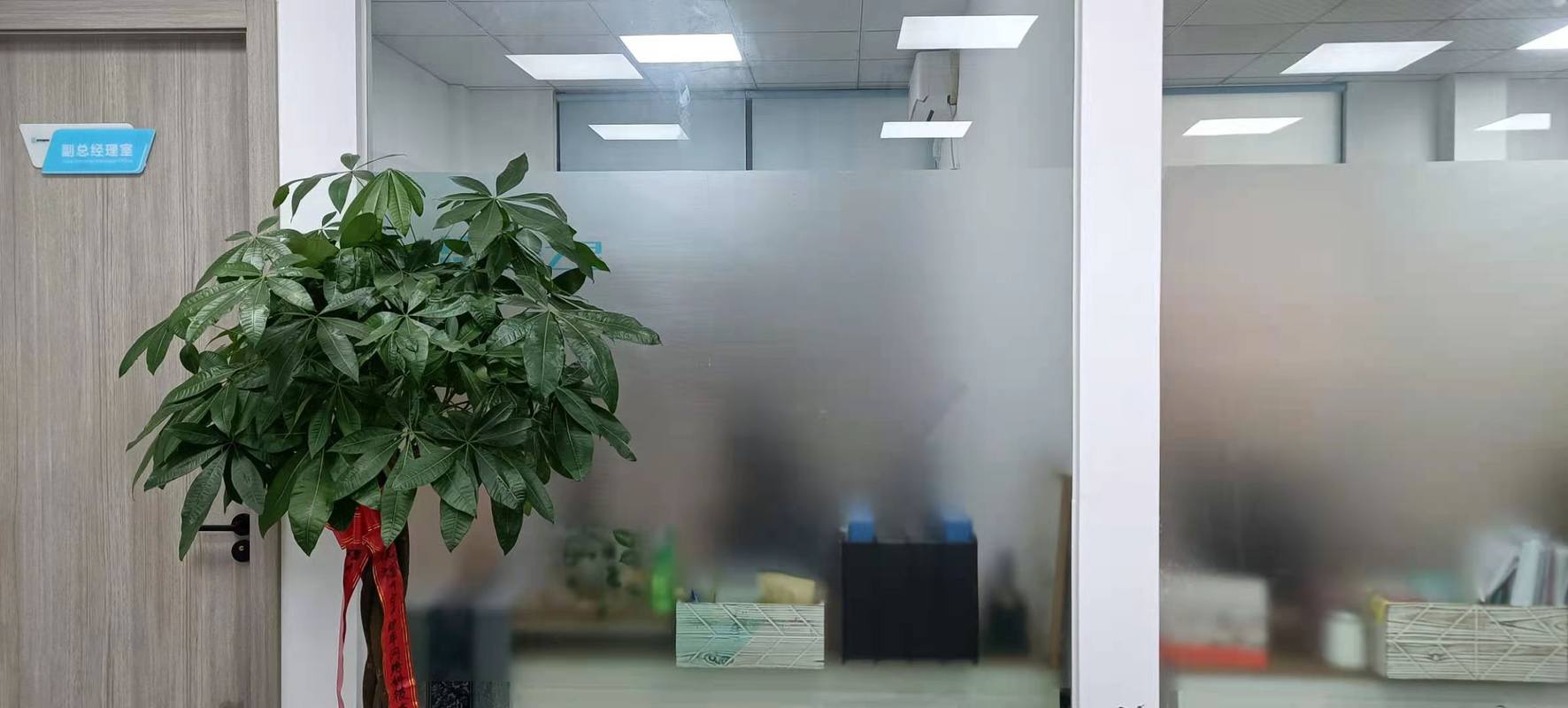 相册图片2