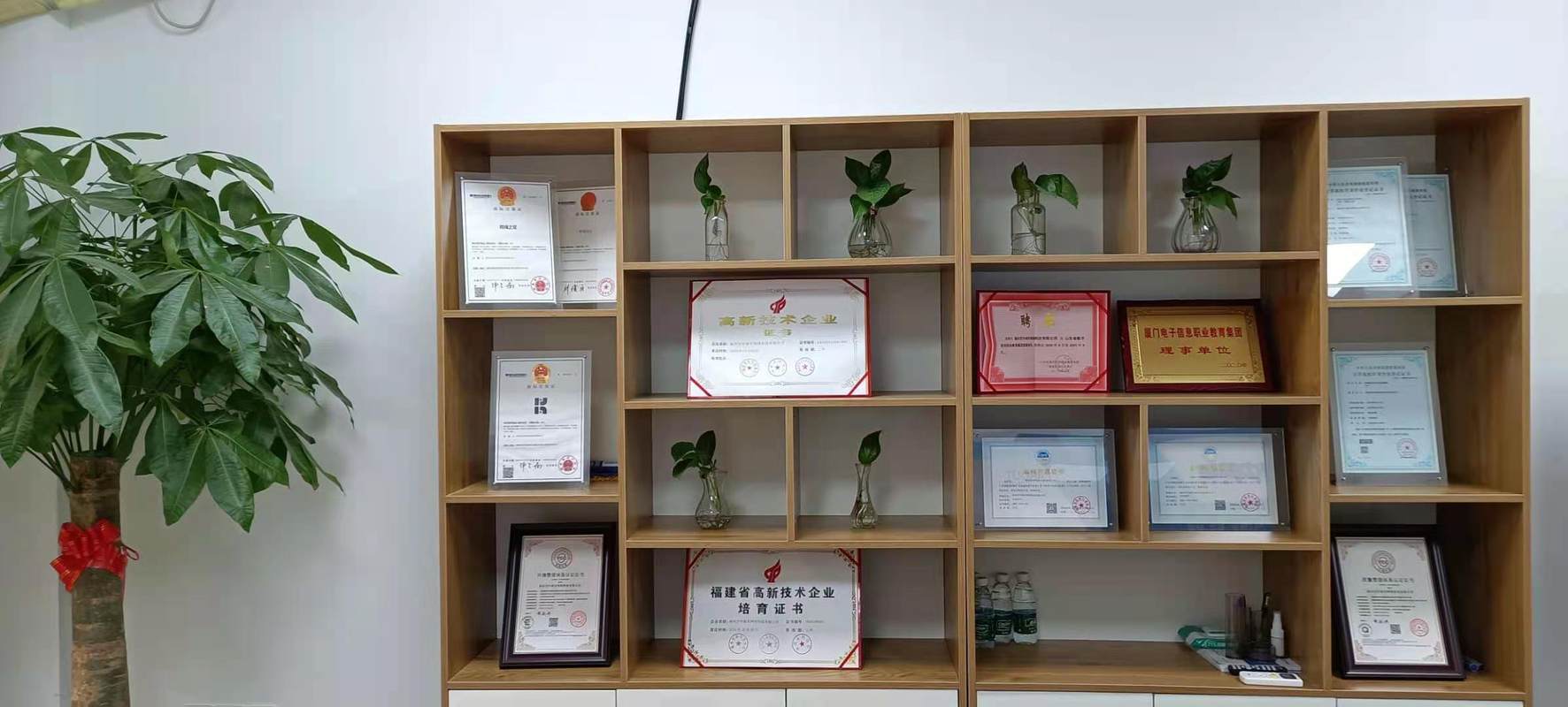 相册图片4