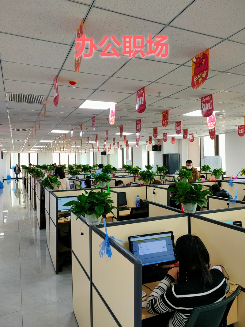 中英人寿保险有限公司河北电话销售中心