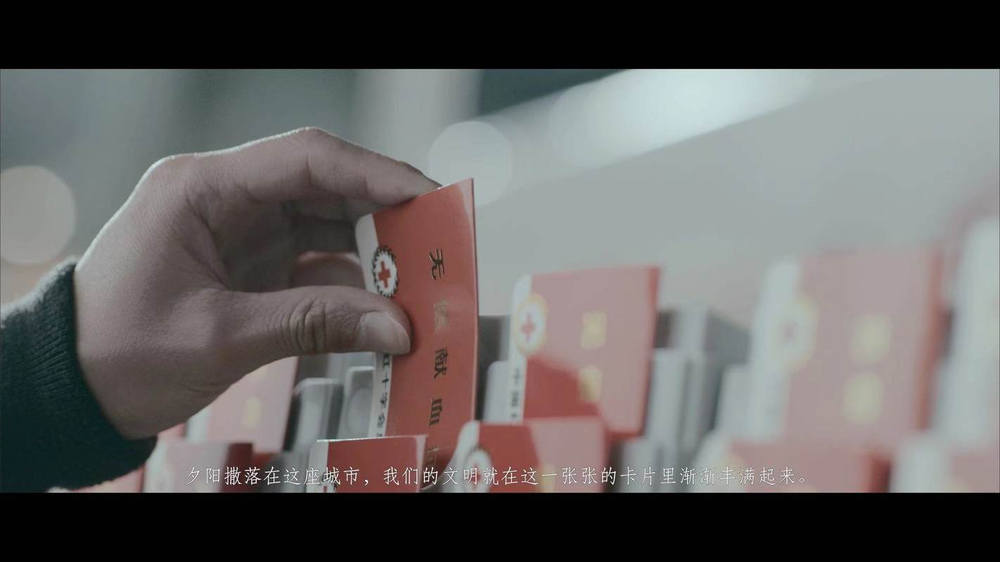 相册图片5
