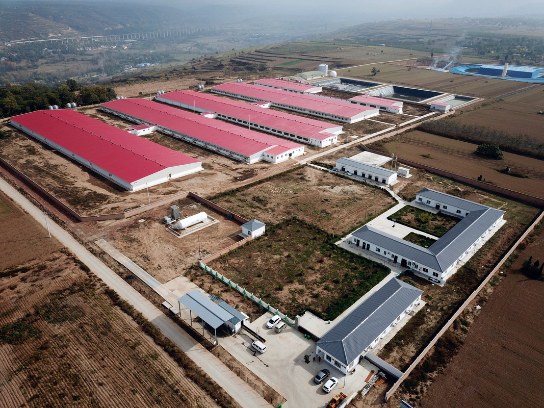 渭南石羊畜牧科技有限公司