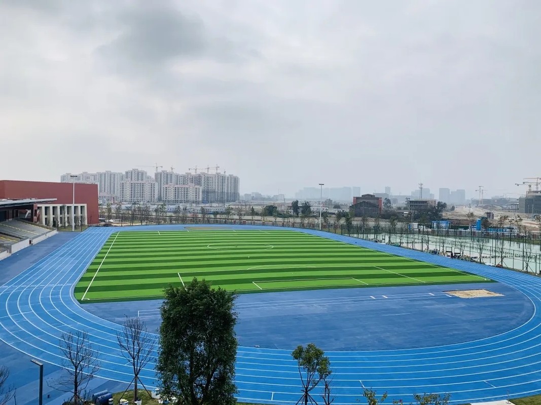 相册图片4