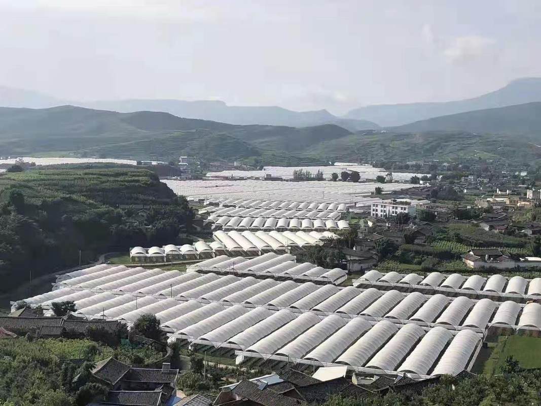 会东超越农业有限公司