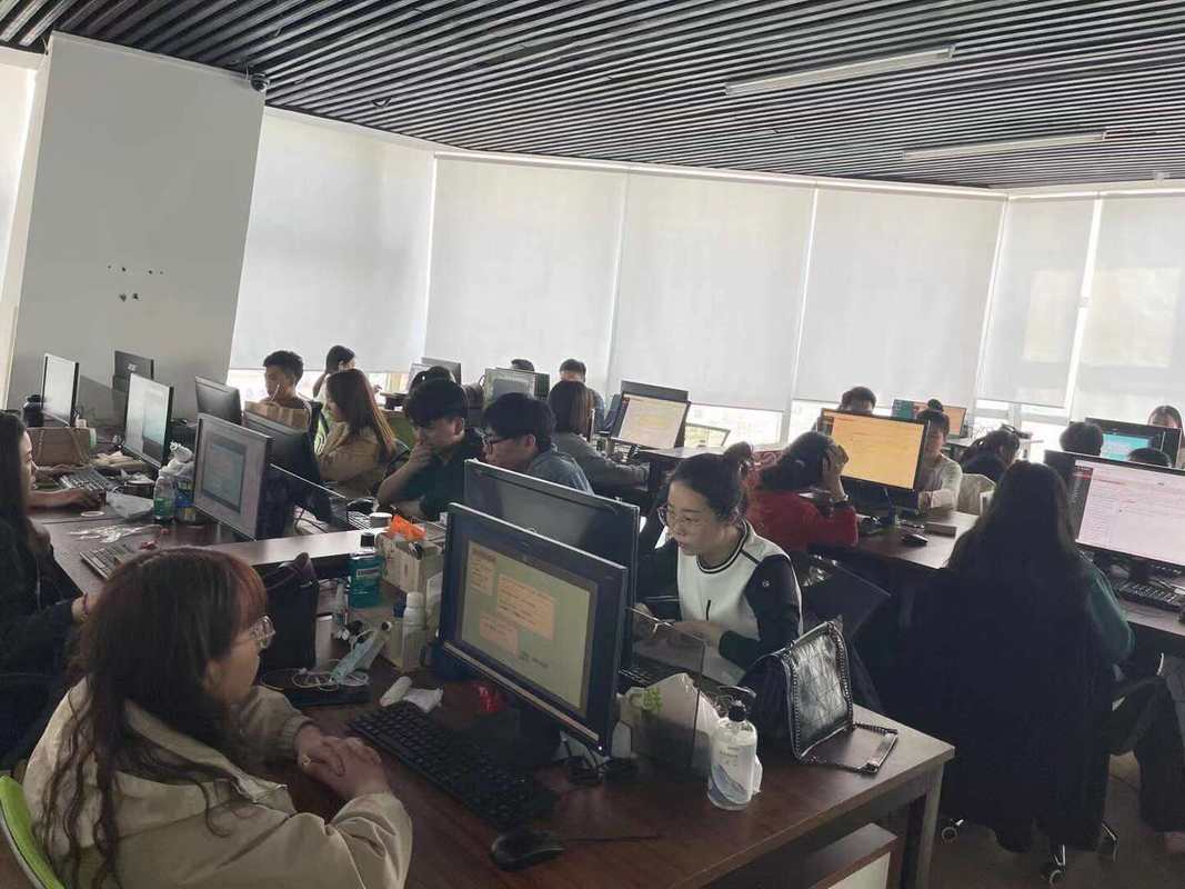 廊坊市之之网络科技有限公司