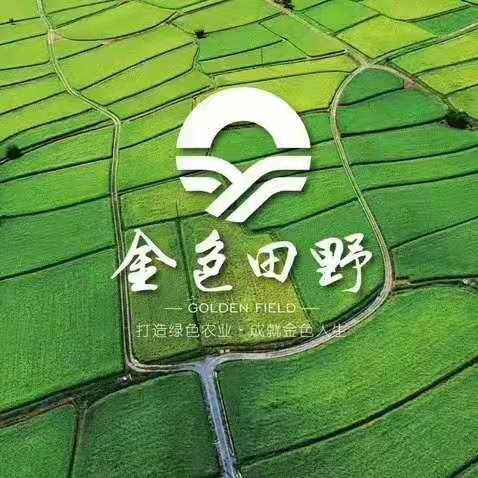 相册图片1