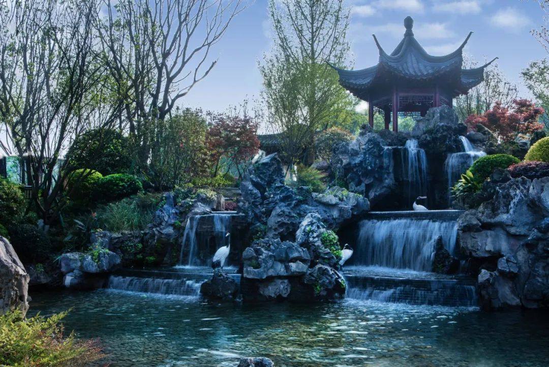 相册图片1