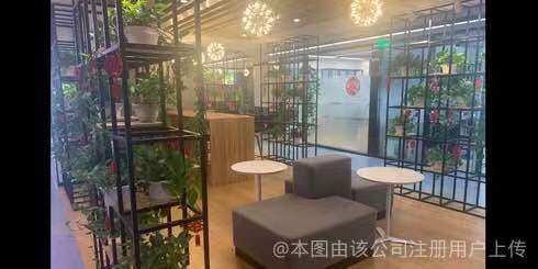 相册图片1