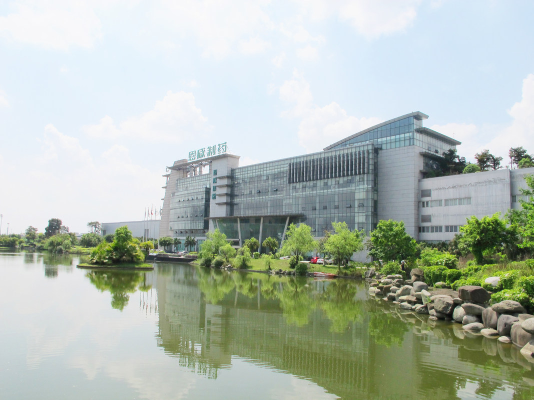 四川恩威制药有限公司