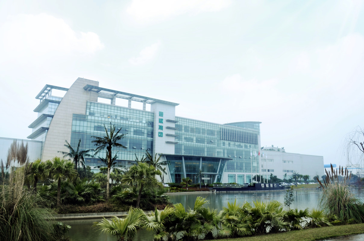 四川恩威制药有限公司