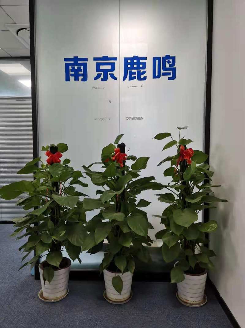 相册图片2