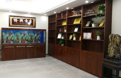 相册图片3