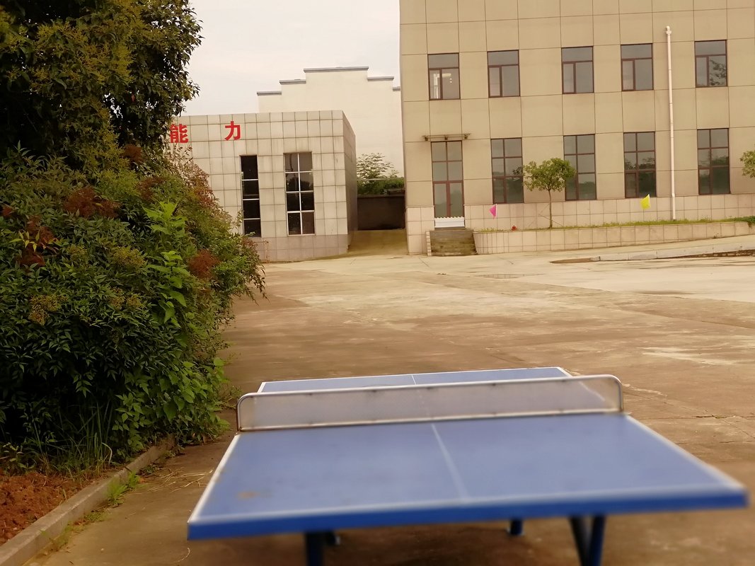 相册图片7