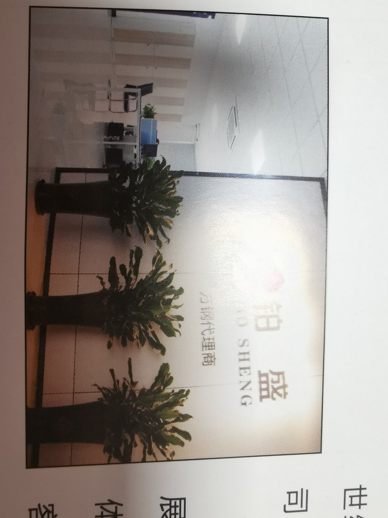 相册图片1