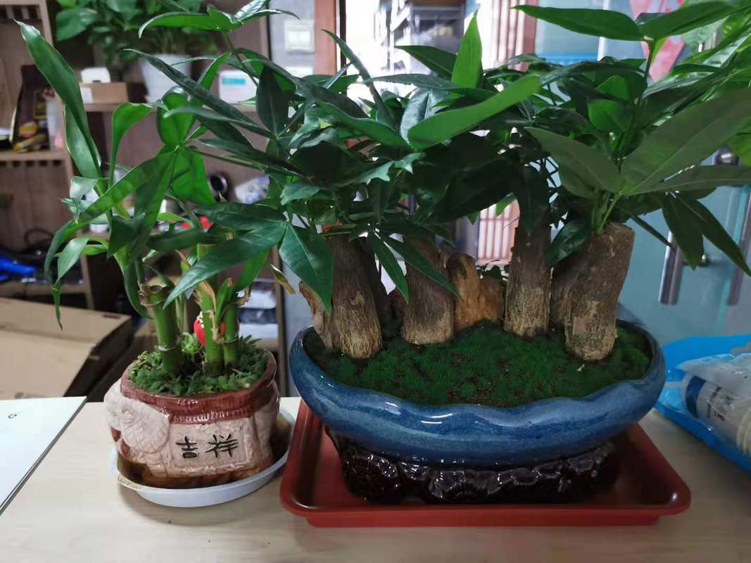 相册图片1