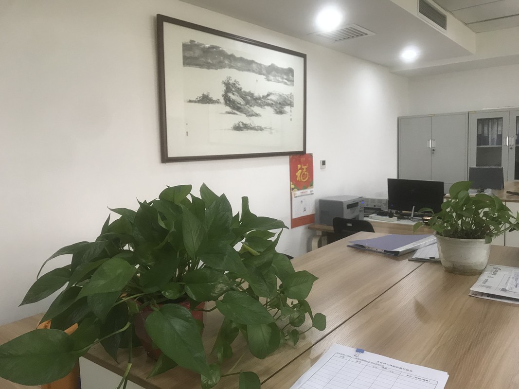 相册图片2