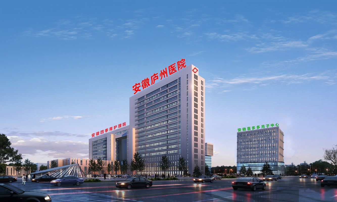 安徽庐州医院有限公司