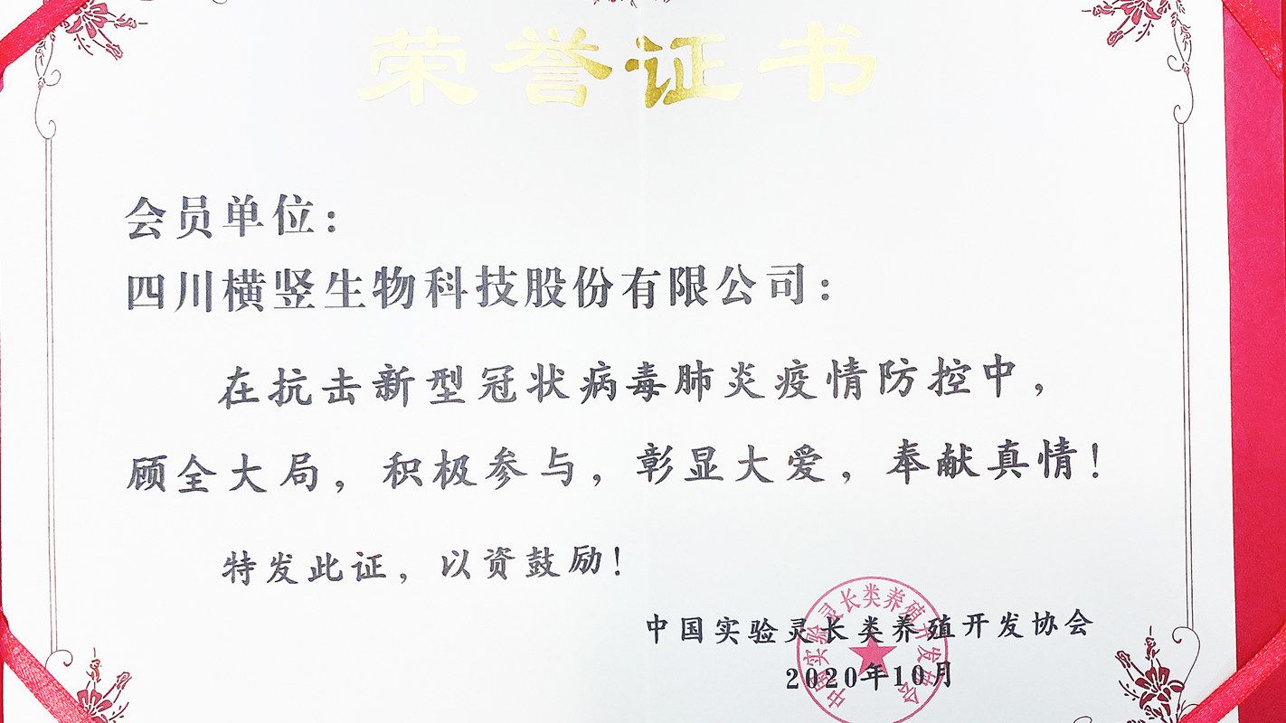 相册图片2
