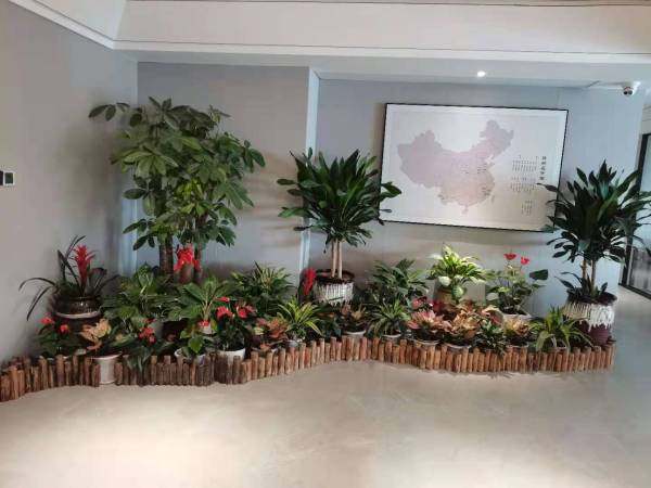 福州龙翔控股集团有限公司