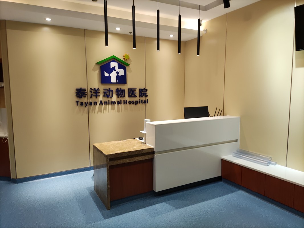相册图片1