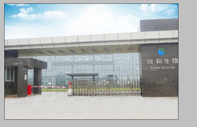 相册图片7