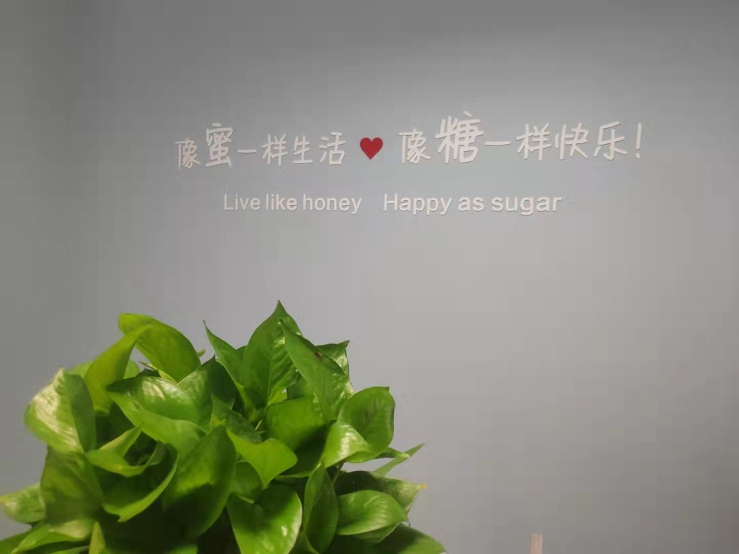 相册图片1