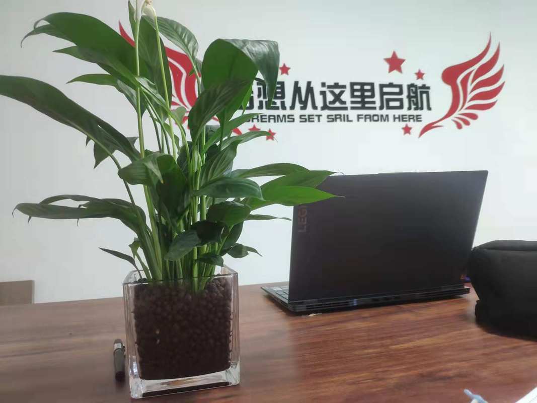 相册图片3