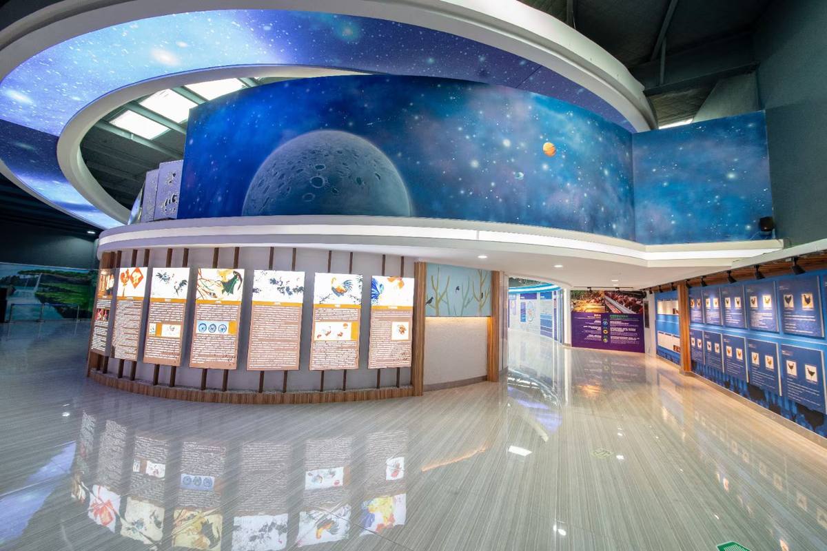 青岛田瑞生态科技有限公司