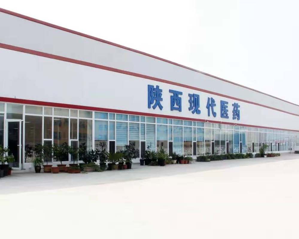 陕西现代医药有限公司