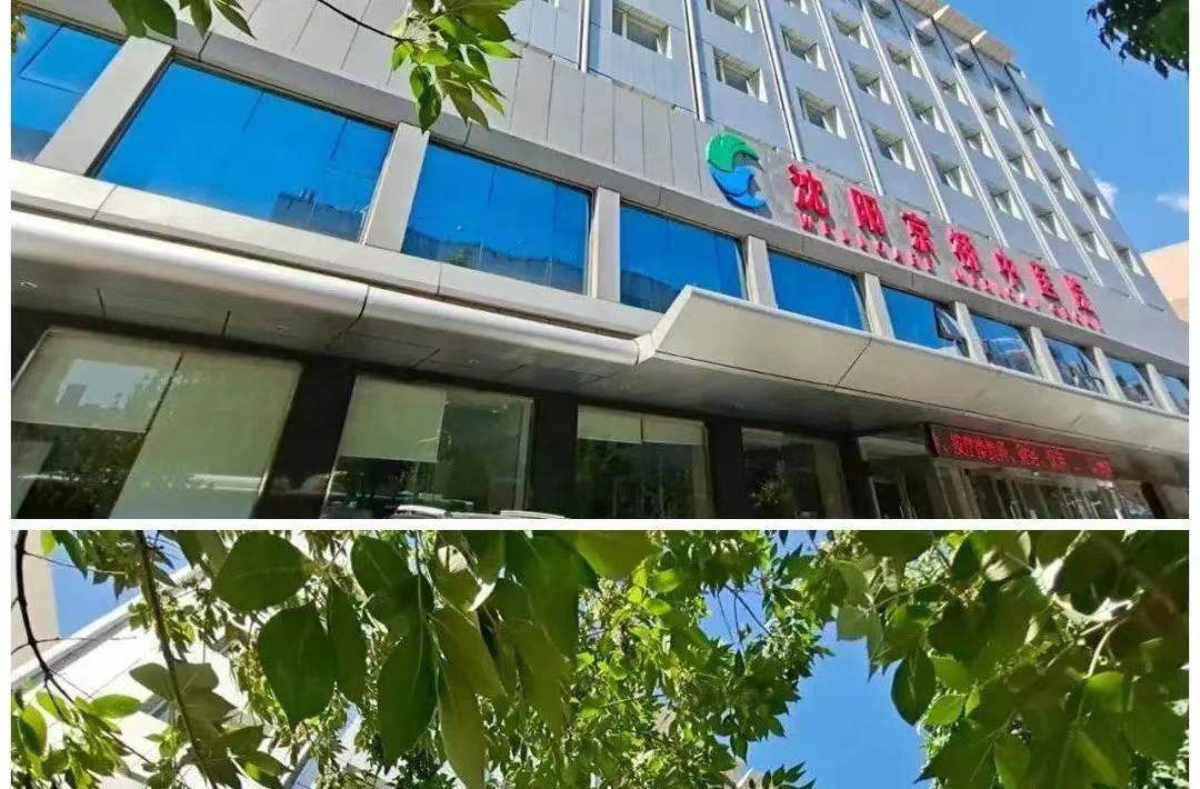 相册图片1