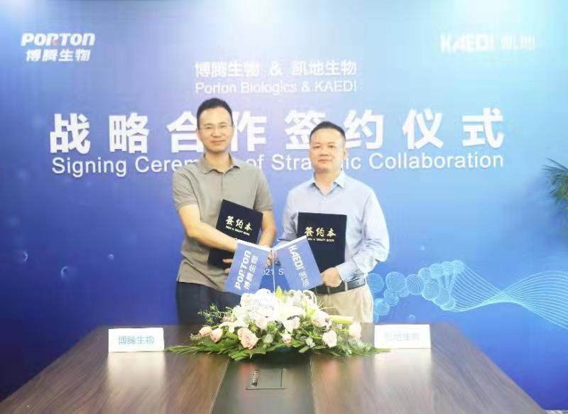 公司图片5