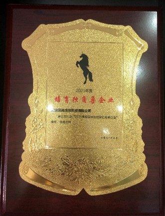 公司图片6