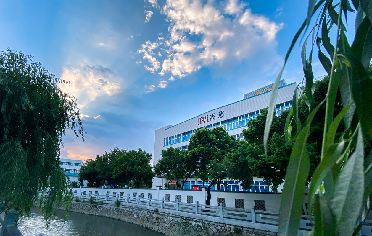 福州高意科技有限公司