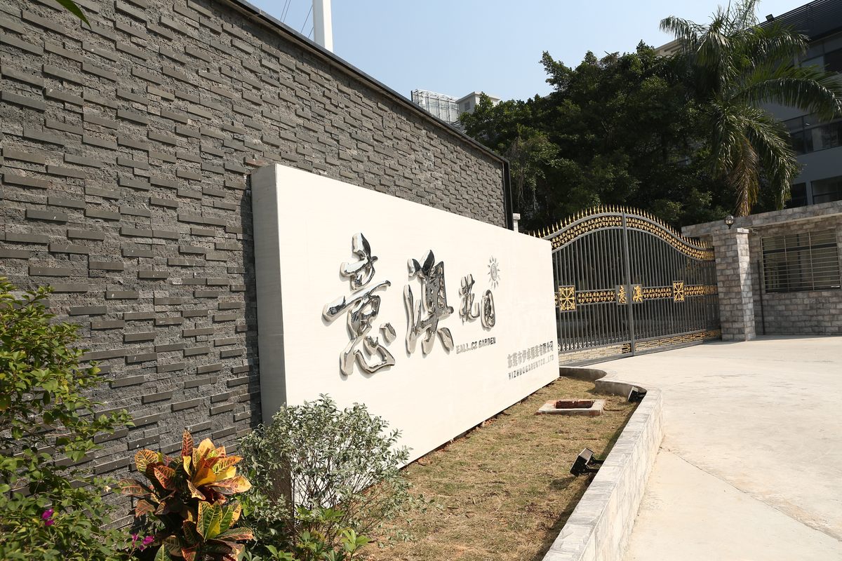 相册图片2