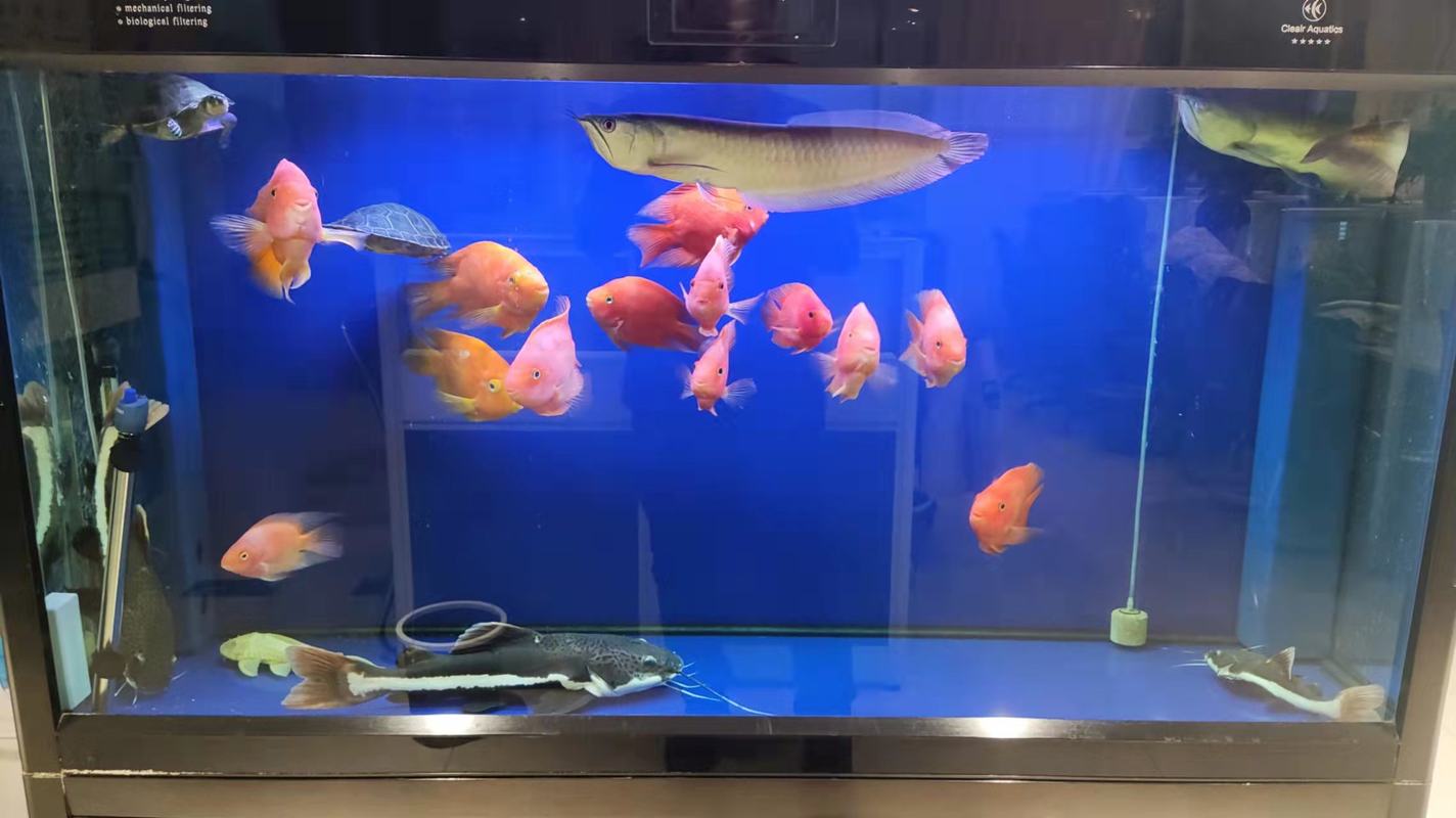 相册图片4