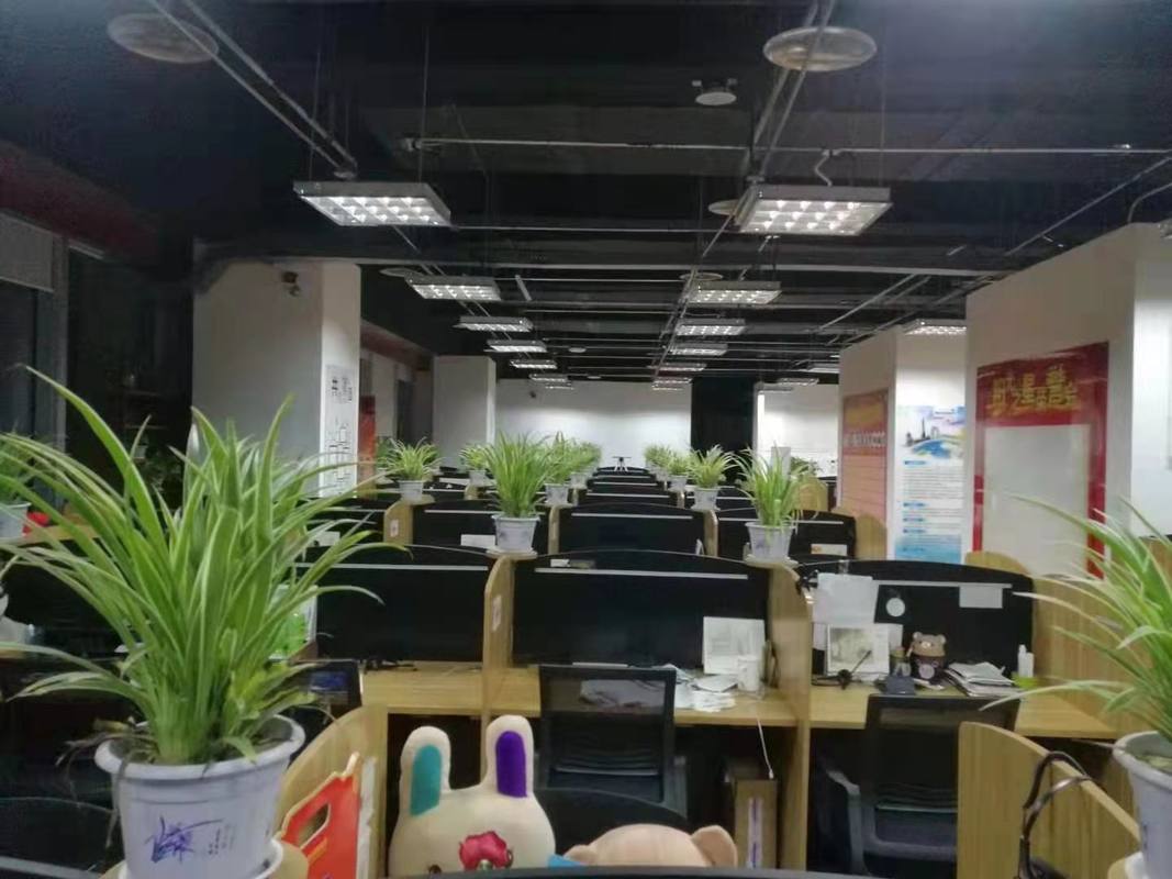 开办医疗投资管理公司(开办医疗投资管理公司的条件)